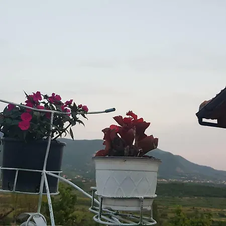 Hylli I Drites Farm stay Lezhe