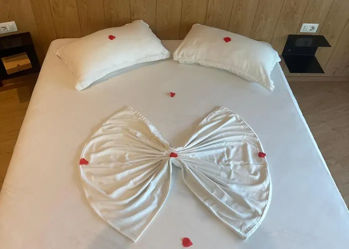 Hylli I Drites 农家乐 *